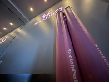 バニーヒップ(Bunny Hip)/training equipment..