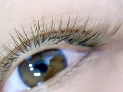 フルリ(Fleureye)の写真