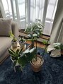 ハリナチュレ 錦糸町店&nbsp;観葉植物やお花が好きで順調に家の観葉植物が増えています（笑）