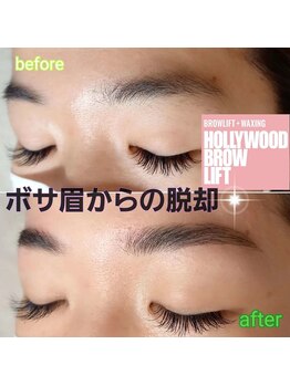 ピエナ(Piena)/《ハリウッドブロウリフト》HBL