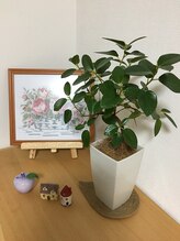 ソワン デュ コール(soins du corps)/