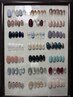 【何回でも】定額ネイル　5,800円 スタッフ限定(追分、長沼、ミユウ)