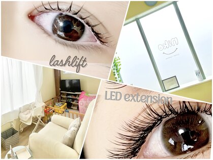 ニコ(niko)の写真