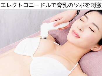 メディカルサロン エム エム エム 大阪梅田グランドサロン(M.M.M)/バストアップ経穴を電気針で刺激