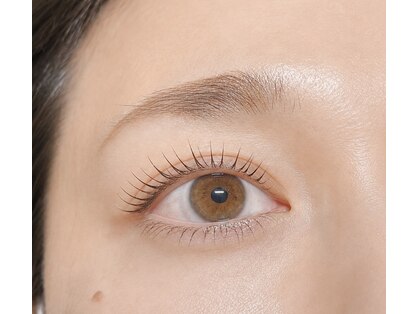 ティーラッシュ(T-lash)の写真