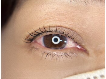 アミューズラッシュ(Amuse Lash)/ラッシュリフト