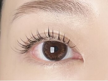 ピース(PEACE)/フラットラッシュ 120本 LED