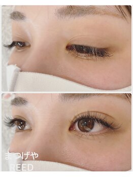 まつげや リード 西八王子(REED)/