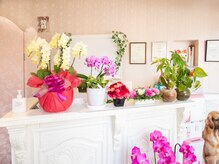 ダイエット アンド ビューティー アーシャ(Diet & Beauty Aasha)/店舗内装(1)