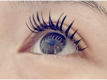 シェリー(Che'rie)/フラットラッシュ