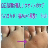 フロー(Froh)