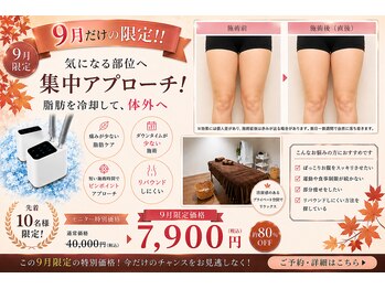 カイビサロン 武蔵小杉(KAIBI SALON)の写真/【9月だけ限定!!】モニター7,900円!!最新AIで脂肪冷却痩身/最大出力ー12°Cで冷却/安心の都度払い♪