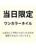 【当日限定】ご新規様オフ無料　ワンカラーネイル　¥5000