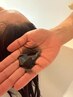 【ニオイ,抜け毛,白髪悩み】スカルプブラックスパ¥12000→