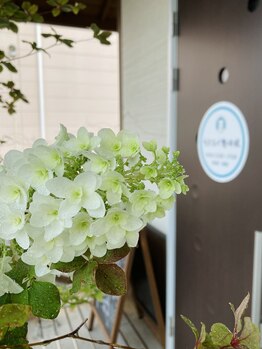 わたなべ整体院/