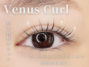 まつげエクステ専門店 ヴィーナスラッシュ 六本木店(Venus Lash)/【ヴィーナスカール】