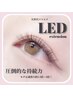 【下まつげ】LEDエクステ40本
