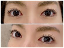 ピピ(pipi)/シェル