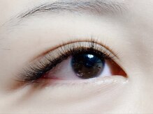 ハーゼ(Hase)/Volume lash【5D】500本