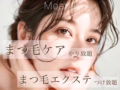 モアナ バイ ヘッドライト 小田原店(Moana by HEADLIGHT)の写真