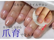 シュシュ(shou shou)