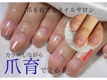 シュシュ(shou shou)の写真