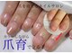 シュシュ(shou shou)の写真