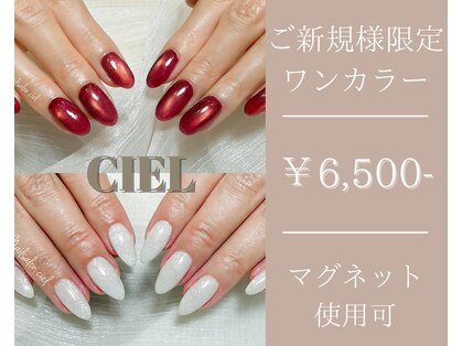 シエル(ciel)の写真