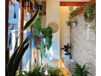 そわと/植物が多く明るい待合室
