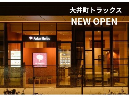アジアンハーブス 大井町トラックスの写真
