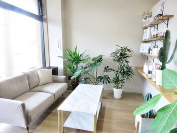 エクラ(ECLAT)/サロンの様子