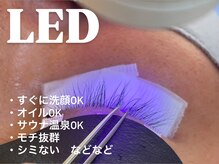 コットン(Cotone)