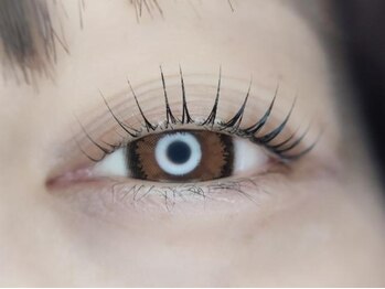 ジョガータ(jogata)の写真/ジョガータイチオシメニュー！まつげパーマはトリートメント付きで持ちよく♪短時間の施術で忙しい人に◎