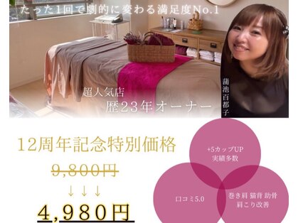 ビービリア(B.villea)の写真