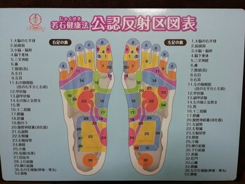 めぐる/反射区図表