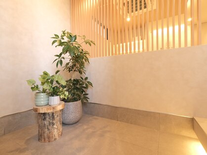 季(TOKI)の写真