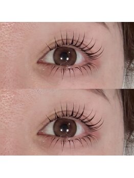 アイラッシュプラン 天王寺駅前店(eyelash plan)/韓国風パーマ上下