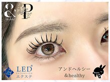 バニーラッシュ(Bunny Lash)/【アンドヘルシー+パリエク】