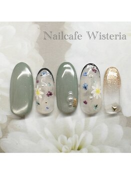 ウィステリア(Wisteria)/4月～定額アート～