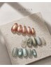 Basic Design定額コース