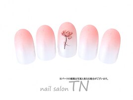 季節の定額3900円コース