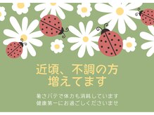 サクラ(Sakura)/体調にお気をつけください