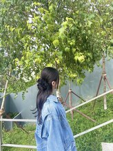 ベロニカ(Beronica) masami 