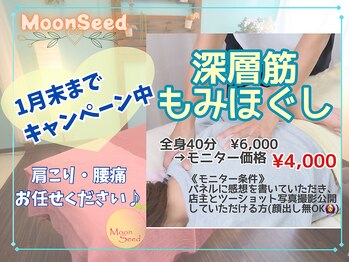ムーンシード
