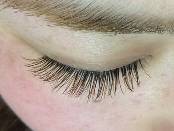 シュシュ(chou chou)/フルカラー(chouchou吉祥寺)