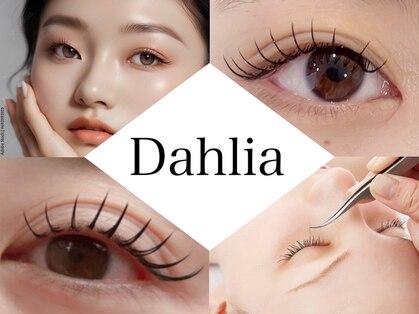 ダリア(DAHLIA)の写真