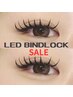 【2、3日限定 】LEDバインドロック　120束　¥11500→¥10000