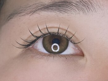 スキル アイラッシュ(SKILL eyelash)/フラットラッシュ100本