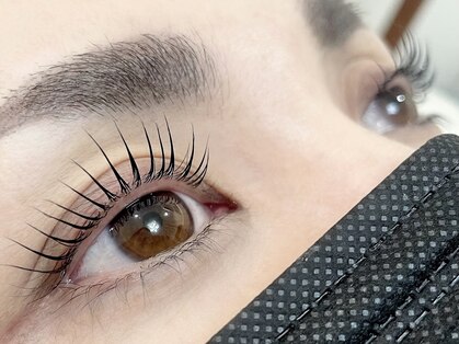 ルテラ(Lutella)の写真