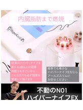 アールズ スリム(R's slim)/本格痩身！！ハイパーナイフ